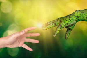 green_hand